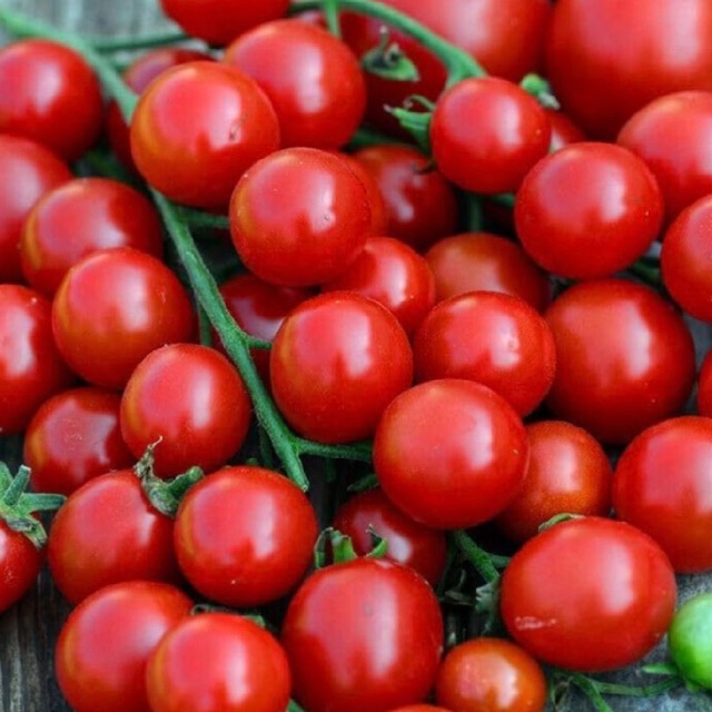 Tomate cherry